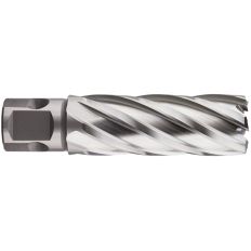HSS-XE KERNBOOR SILVER-LINE, UNIVERSEEL 19, ø12X55 HSS-XE KERNBOOR SILVER-LINE, UNIVERSEEL 19, ø12X55